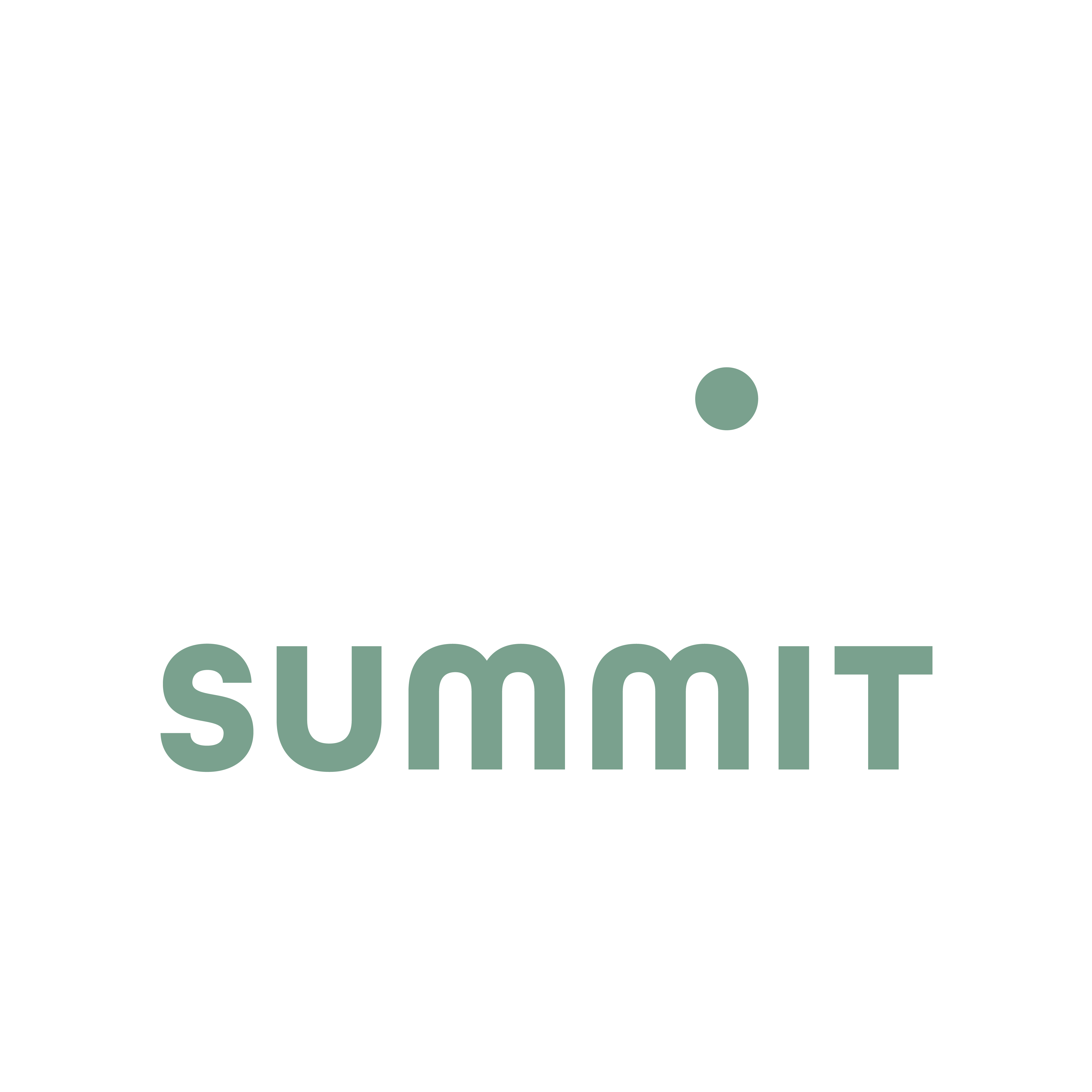 SummitIP